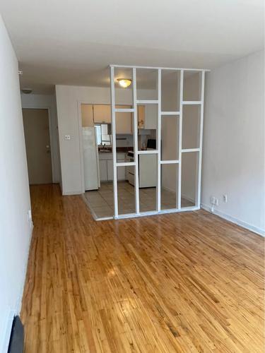 1 bedroom apartment for rent in Montreal - Rosemont–La Petite-Patrie — photo 3