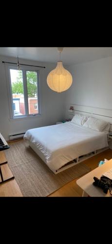 2 bedrooms apartment for rent in Québec - La Cité-Limoilou — photo 5