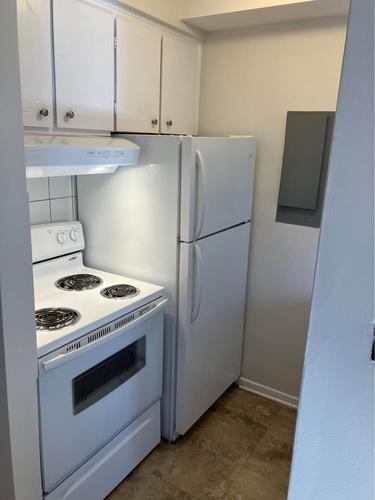 Appartement de 1 chambre à louer à Montreal - Rosemont–La Petite-Patrie — photo 8