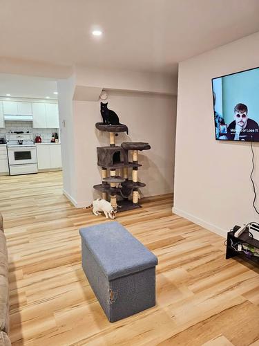 Appartement de 2 chambres à louer à Montreal - Rosemont–La Petite-Patrie — photo 3