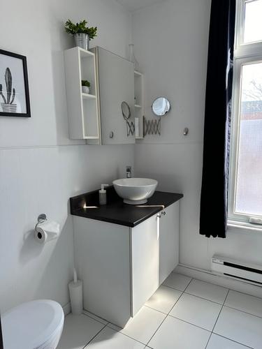 Appartement de 1 chambre à louer à Québec - La Cité-Limoilou — photo 4