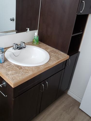 1 bedroom apartment for rent in Lévis — photo 4