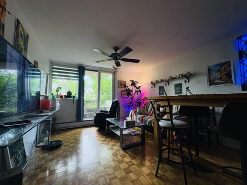 Appartement de 1 chambre à louer à Québec - La Cité-Limoilou — photo 3