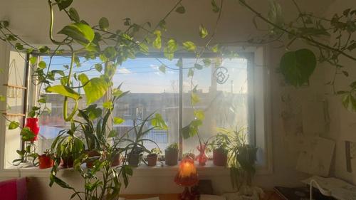 2 bedrooms apartment for rent in Montreal - Villeray–Saint-Michel–Parc-Extension — photo 3