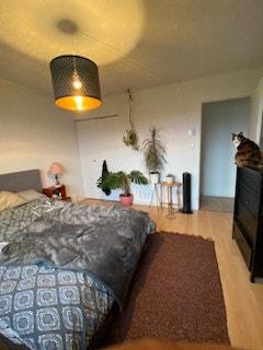 3 bedrooms apartment for rent in Sherbrooke — photo 15