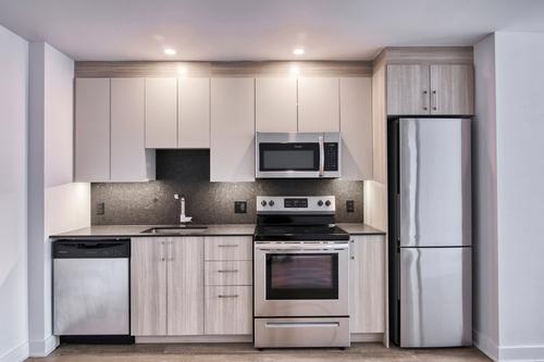 1 bedroom apartment for rent in Montreal - Le Plateau-Mont-Royal — photo 2