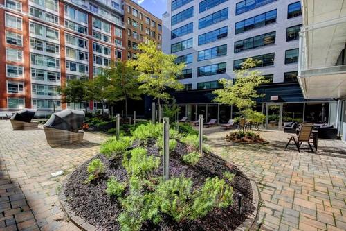 1 bedroom apartment for rent in Montreal - Ville-Marie — photo 5