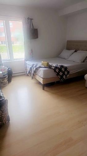 1 bedroom apartment for rent in Lévis — photo 8