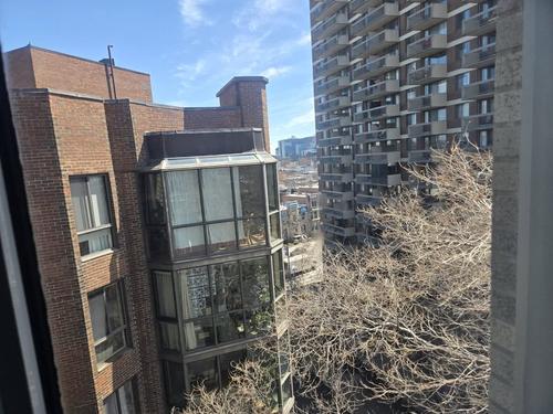 1 bedroom apartment for rent in Montreal - Le Plateau-Mont-Royal — photo 5