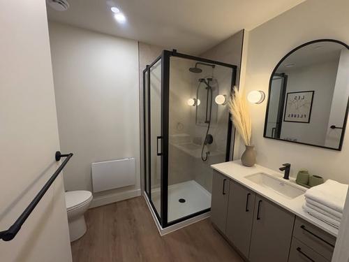 Appartement de 2 chambres à louer à Québec - La Cité-Limoilou — photo 9