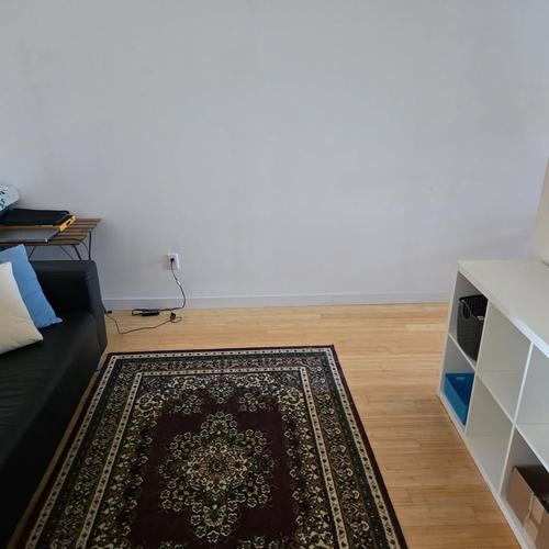 Appartement de 2 chambres à louer à Montreal - Rosemont–La Petite-Patrie — photo 8