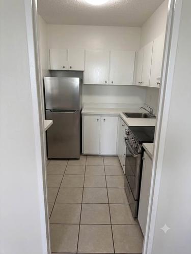 1 bedroom apartment for rent in Montreal - Le Plateau-Mont-Royal — photo 4