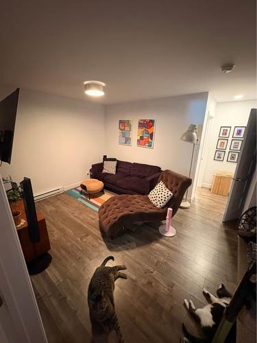 Appartement de 3 chambres à louer à Québec - La Cité-Limoilou — photo 9