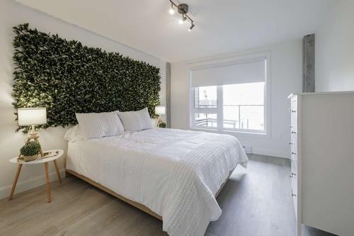 Appartement de 1 chambre à louer à Québec - La Cité-Limoilou — photo 6