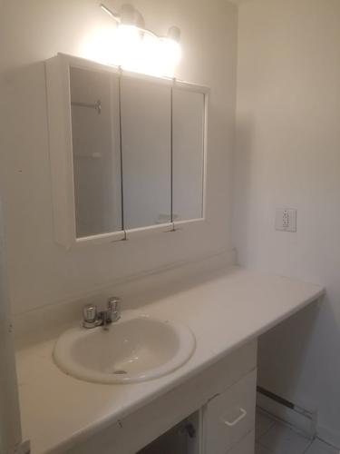 Appartement de 1 chambre à louer à Longueuil — photo 11
