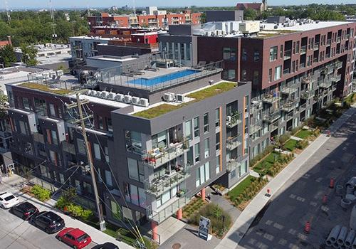 Appartement de 1 chambre à louer à Montreal - Rosemont–La Petite-Patrie — photo 12