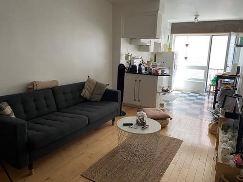 1 bedroom apartment for rent in Montreal - Le Plateau-Mont-Royal — photo 9