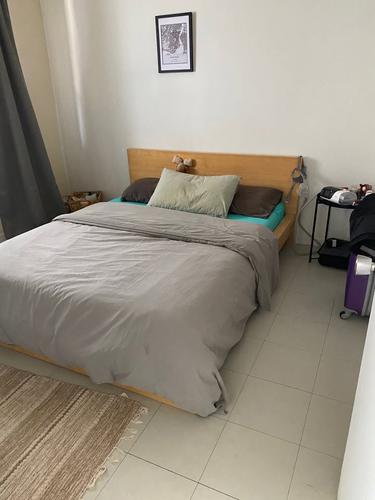1 bedroom apartment for rent in Montreal - Le Plateau-Mont-Royal — photo 4