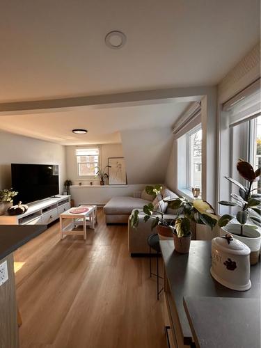 Appartement de 1 chambre à louer à Lévis — photo 5