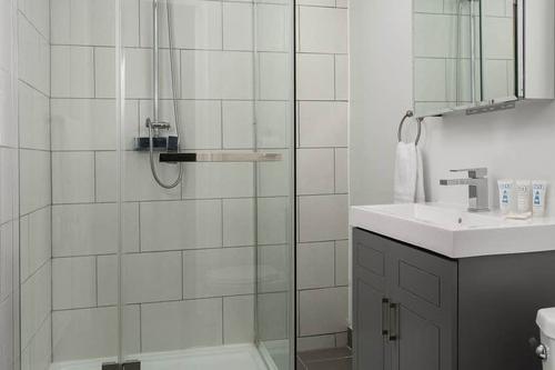 1 bedroom apartment for rent in Montreal - Le Plateau-Mont-Royal — photo 4