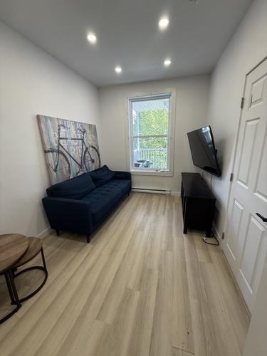 1 bedroom apartment for rent in Montreal - Rosemont–La Petite-Patrie — photo 5