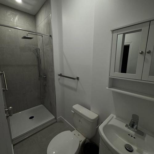 Appartement de 2 chambres à louer à Montreal - Le Plateau-Mont-Royal — photo 5