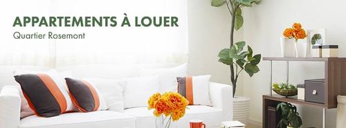 1 bedroom apartment for rent in Montreal - Rosemont–La Petite-Patrie — photo 21