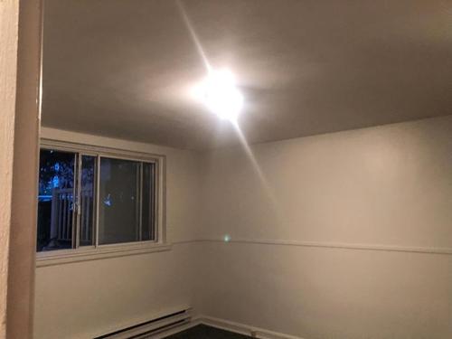 Appartement de 1 chambre à louer à Montreal - Rosemont–La Petite-Patrie — photo 2