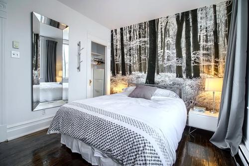 1 bedroom apartment for rent in Montreal - Le Plateau-Mont-Royal — photo 12