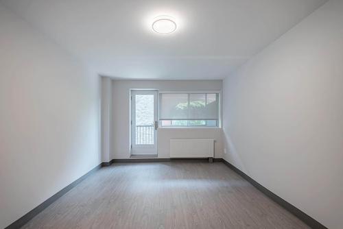 Appartement de 1 chambre à louer à Montreal - Le Plateau-Mont-Royal — photo 4