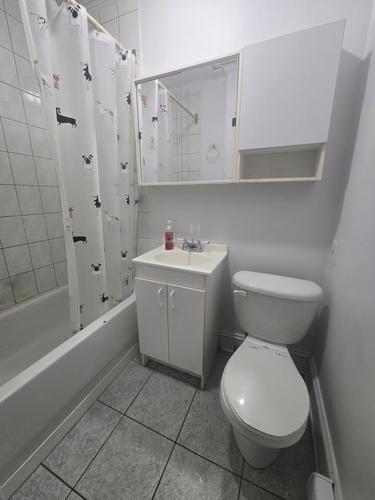 1 bedroom apartment for rent in Gatineau — photo 4