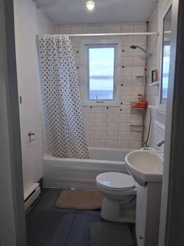 Appartement de 1 chambre à louer à Sherbrooke — photo 4