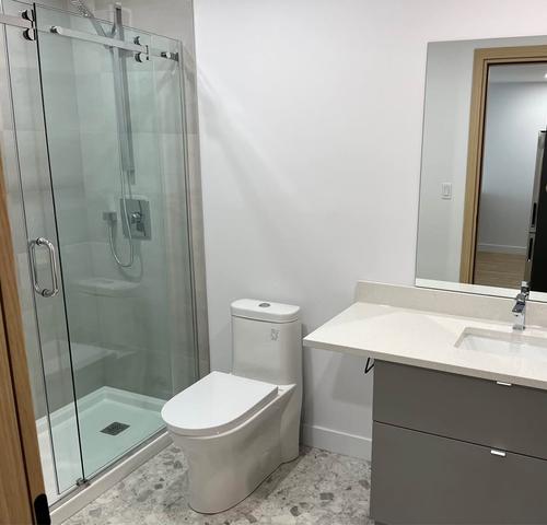 1 bedroom apartment for rent in Montreal - Rosemont–La Petite-Patrie — photo 5