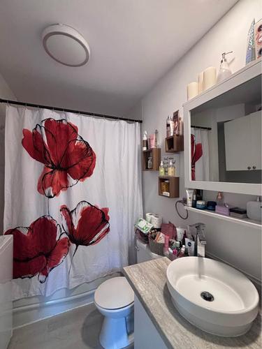 Appartement de 2 chambres à louer à Lévis — photo 7