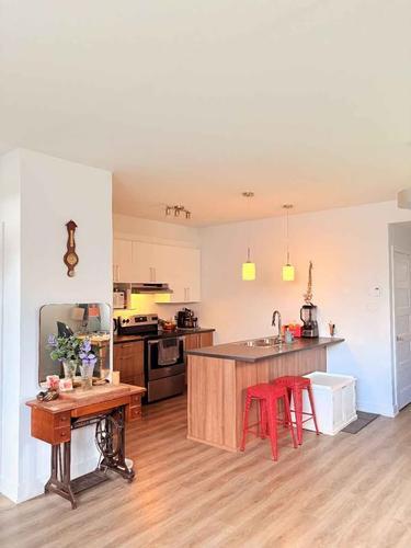 Appartement de 1 chambre à louer à Gatineau — photo 12