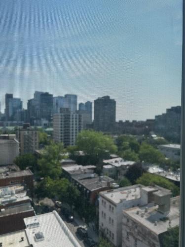 1 bedroom apartment for rent in Montreal - Ville-Marie — photo 15