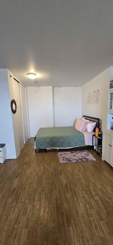 1 bedroom apartment for rent in Montreal - Rosemont–La Petite-Patrie — photo 10