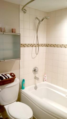 1 bedroom apartment for rent in Montreal - Le Plateau-Mont-Royal — photo 3