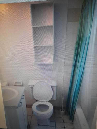 1 bedroom apartment for rent in Montreal - Le Plateau-Mont-Royal — photo 4