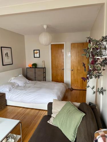 1 bedroom apartment for rent in Montreal - Villeray–Saint-Michel–Parc-Extension — photo 12