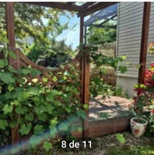 Appartement de 1 chambre à louer à Gatineau — photo 5