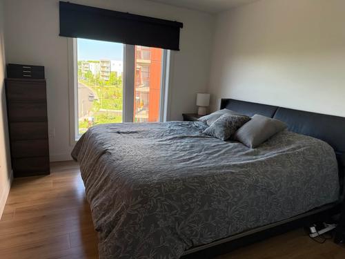 1 bedroom apartment for rent in Lévis — photo 12