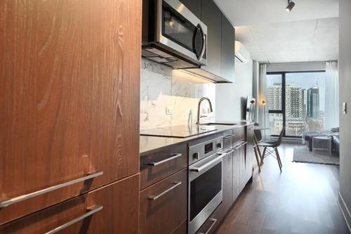 1 bedroom apartment for rent in Montreal - Ville-Marie — photo 3