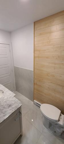 2 bedrooms apartment for rent in Montreal - Le Plateau-Mont-Royal — photo 4
