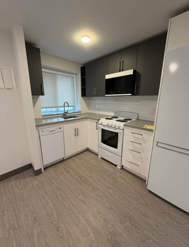 1 bedroom apartment for rent in Montreal - Le Plateau-Mont-Royal — photo 3