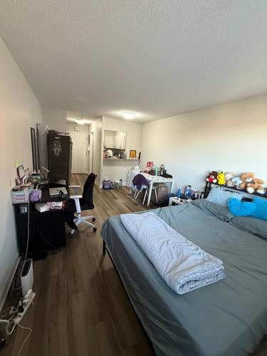 Studio for rent in Montreal - Le Plateau-Mont-Royal — photo 3