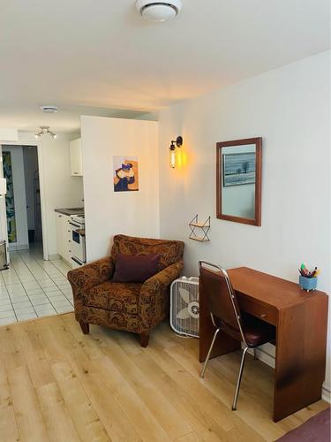 Studio for rent in Montreal - Le Plateau-Mont-Royal — photo 4