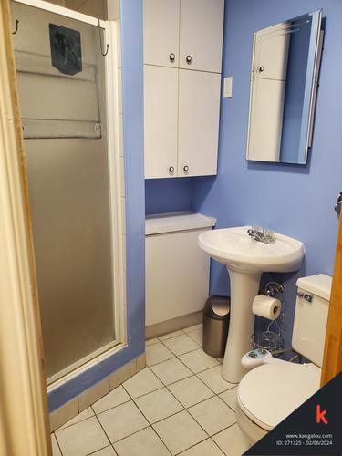 4 bedrooms apartment for rent in Montreal - Le Plateau-Mont-Royal — photo 11