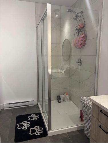 Appartement de 2 chambres à louer à Lévis — photo 8