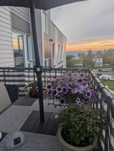 Appartement de 1 chambre à louer à Lévis — photo 4